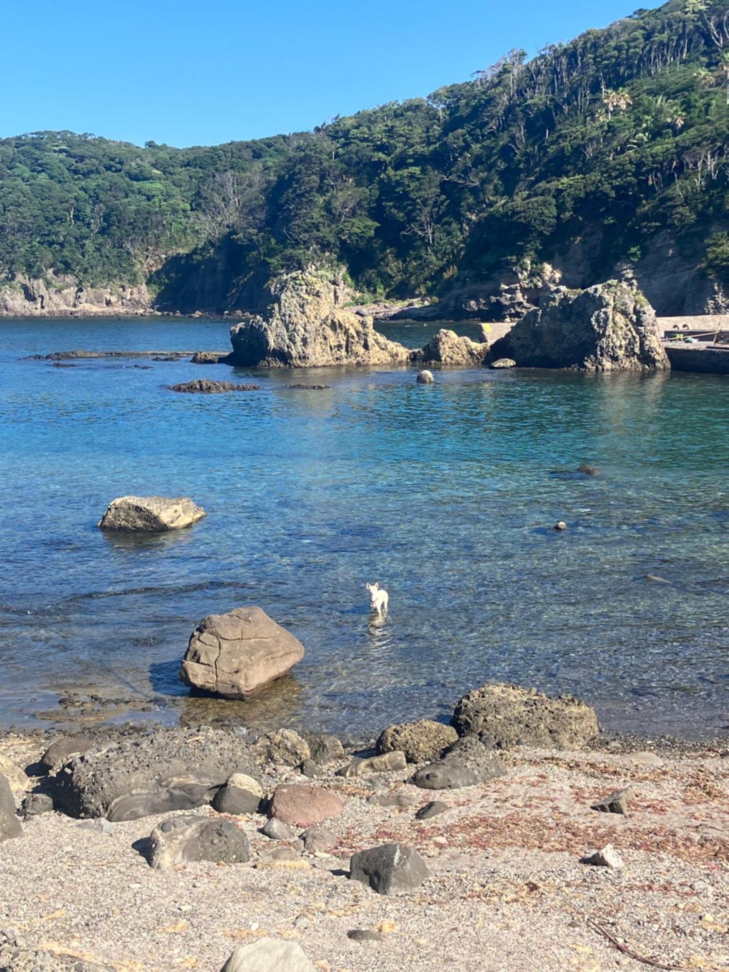 貸別荘吉佐美苑 Shimoda  Exterior photo