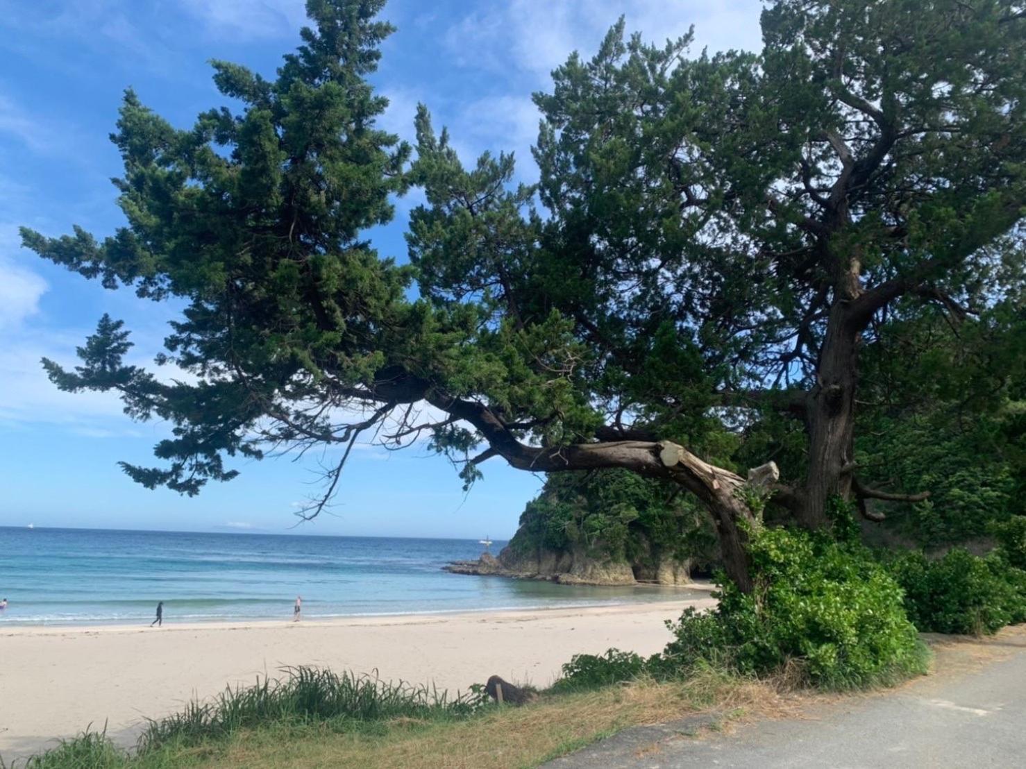 貸別荘吉佐美苑 Shimoda  Exterior photo